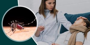 हरिद्वार डेंगू बुखार का प्रकोप नियंत्रण से बाहर हो गया है अब तक संख्या 500 तक पहुंच गई है शुक्रवार को 10 मरीजों का निदान किया गय